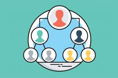 MLM consulting/training